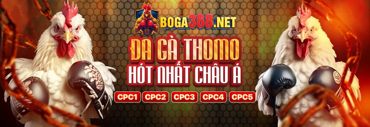Hình ảnh sòng bạc trực tuyến với dealer người thật