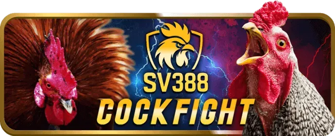 Hình ảnh đội ngũ 118bet Nổ Hũ làm việc cùng nhau